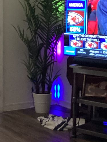 Customer photo review of LED Color Changing Light — LitLamp™