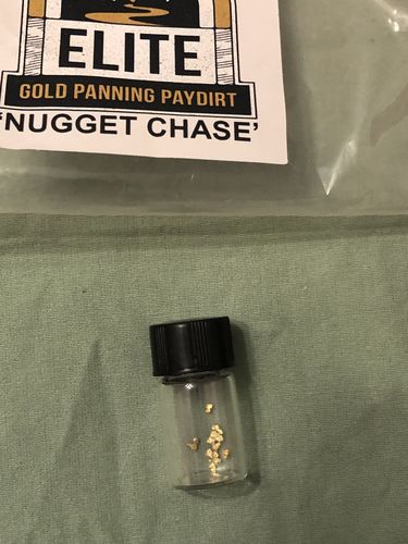 Customer photo review of *BOGO* Goldn Paydirt '$5,000 Nugget Giveaway' - Gold Panning Paydirt Concentrate