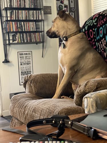 Customer photo review of Green Silicone