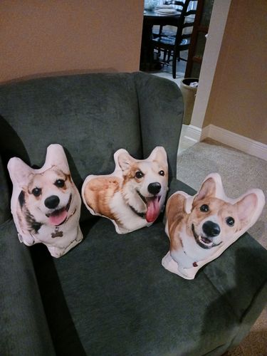 Customer photo review of Create A Custom Dog Pillow