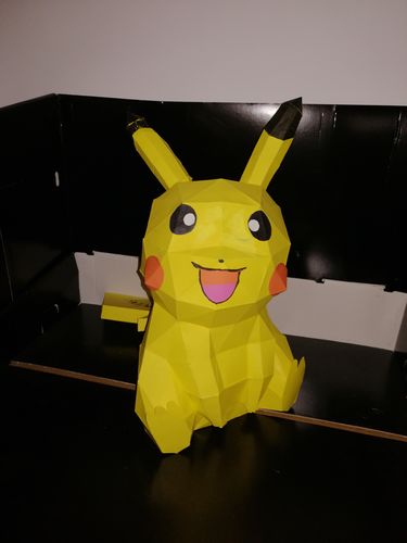 Customer photo review of Patrons Pikachu (pdf)