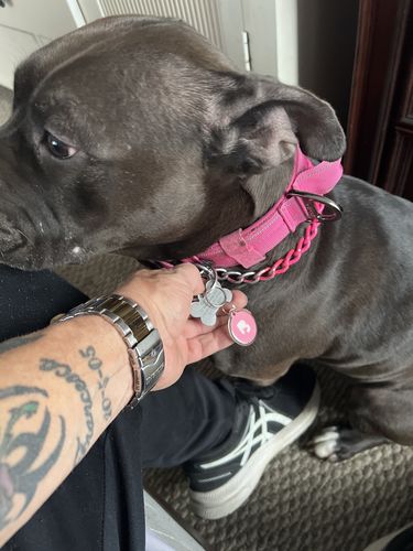 Customer photo review of Pink