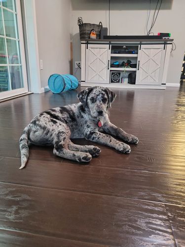 Customer photo review of Red Silicone