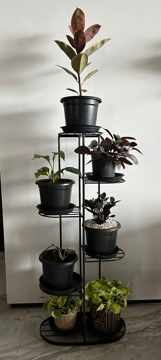 Customer photo review of Plant Stand Metal 6 Tier 7 Potted Multiple Flower Pot Holder Shelf Indoor Outdoor Planter Display Shelving Unit for Patio Garden Corner
