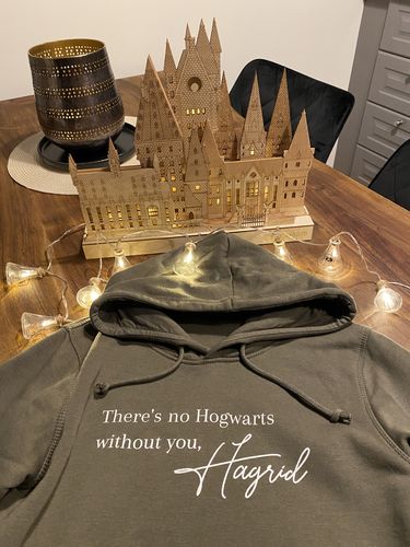 Customer photo review of THERE'S NO HOGWARTS - HOODIE