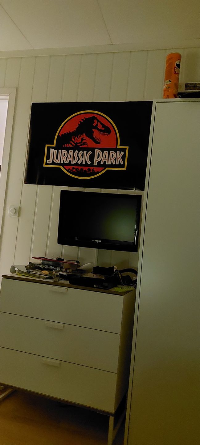 Customer photo review of Jurassic Park Plakat