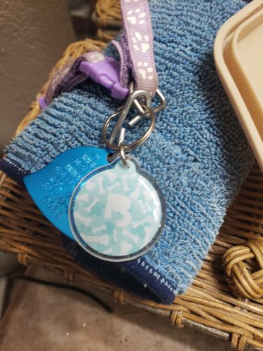 Customer photo review of Paw & Bones