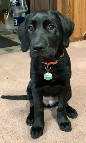 Customer photo review of Floral Silicone