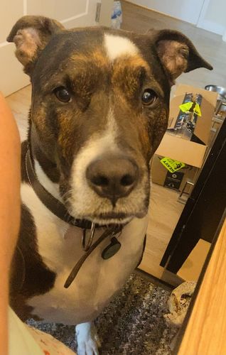 Customer photo review of Green Silicone