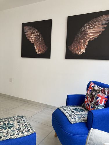 Customer photo review of Set Alas Doradas de Angel