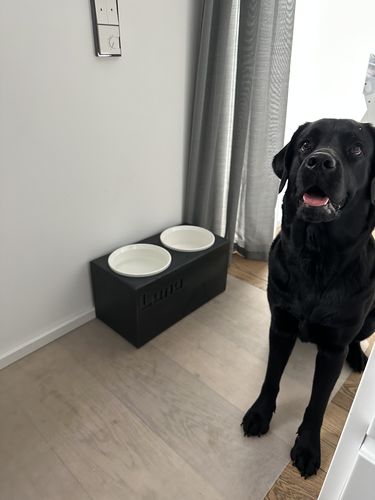 Customer photo review of Futterstation PATERA DUO Personalisiert