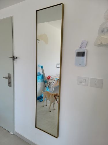Customer photo review of דלת מראה להסתרת ארון חשמל