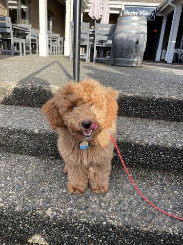 Customer photo review of Beach Silicone