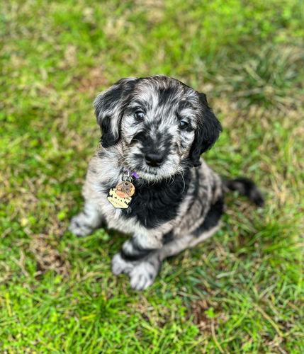 Customer photo review of Mountain Silicone