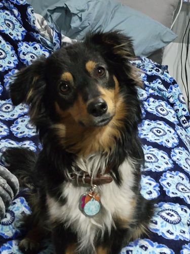 Customer photo review of Red Silicone