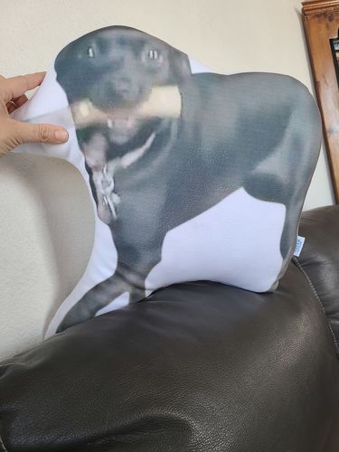 Customer photo review of Create A Custom Dog Pillow
