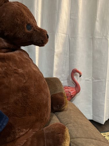 Customer photo review of SKOGGY BEAR