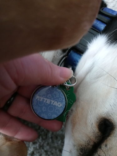 Customer photo review of Just Paws