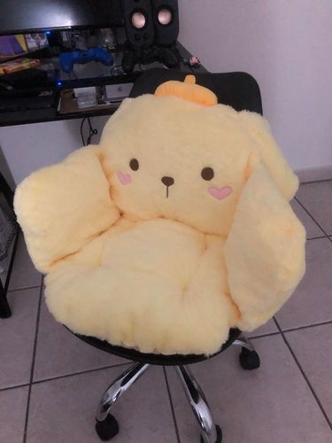 Customer photo review of Kawaii Style Seat Cushion Plushie