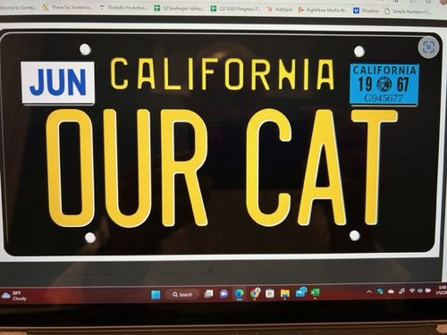 Customer photo review of 1968 CALIFORNIA LICENSE PLATE 6"x12" (156.5mm x 305mm)