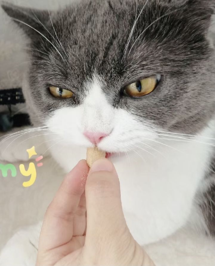 Customer photo review of Michu Freeze Dried Raw Pet Food 150g
