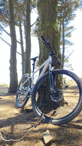 Customer photo review of Bicicleta Mountain Bike Talon 3 Aro 29 Gris