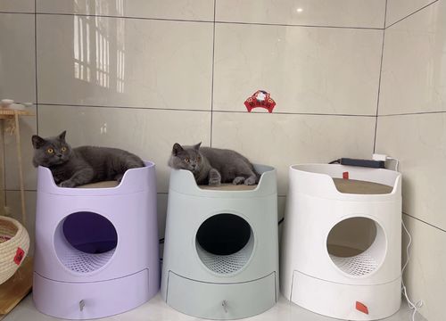 Customer photo review of Mayitwill XL Castle 2 in 1 Front-Entry Cat Litter Box with Scratch Basin, Scoop included, Morandi Green