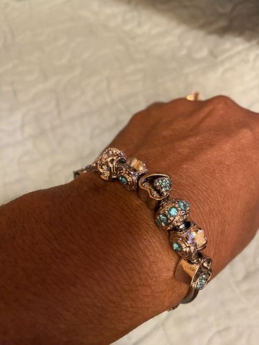 Customer photo review of Birthstone Bracelets