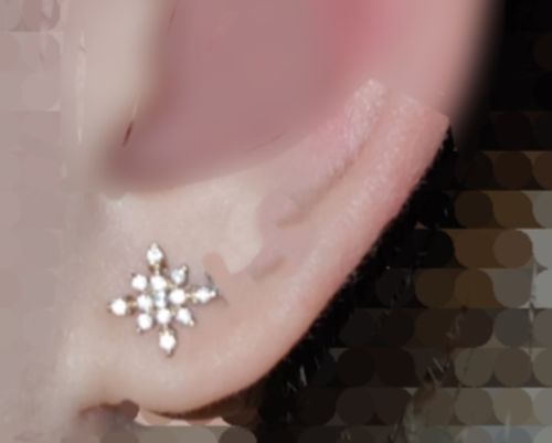 Customer photo review of Starburst Top Internally Threaded Lip Ring