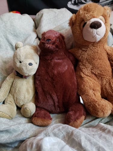 Customer photo review of SKOGGY BEAR