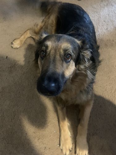 Customer photo review of Pink Silicone