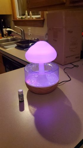 Customer photo review of Rainy Cloud Humidifier