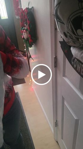 Customer video review of Create A Custom Dog Pillow