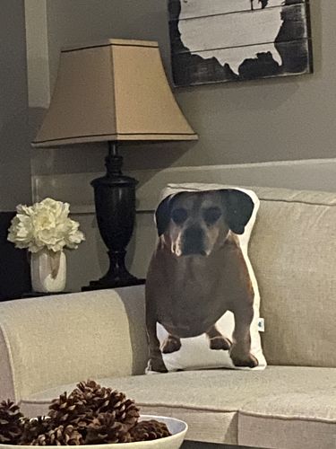 Customer photo review of Create A Custom Cat Pillow