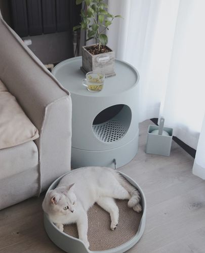 Customer photo review of Mayitwill XL Castle 2 in 1 Front-Entry Cat Litter Box with Scratch Basin, Scoop included, Morandi Green