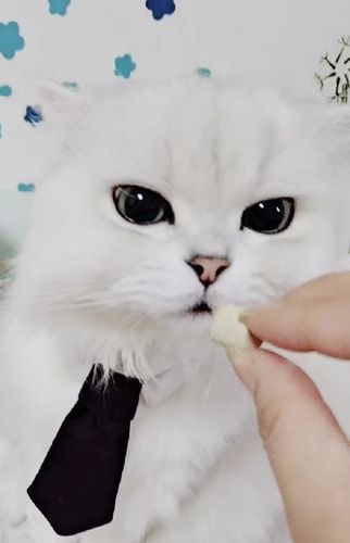 Customer photo review of Michu Freeze Dried Raw Pet Food 150g