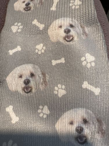 Customer photo review of Custom Dog Socks