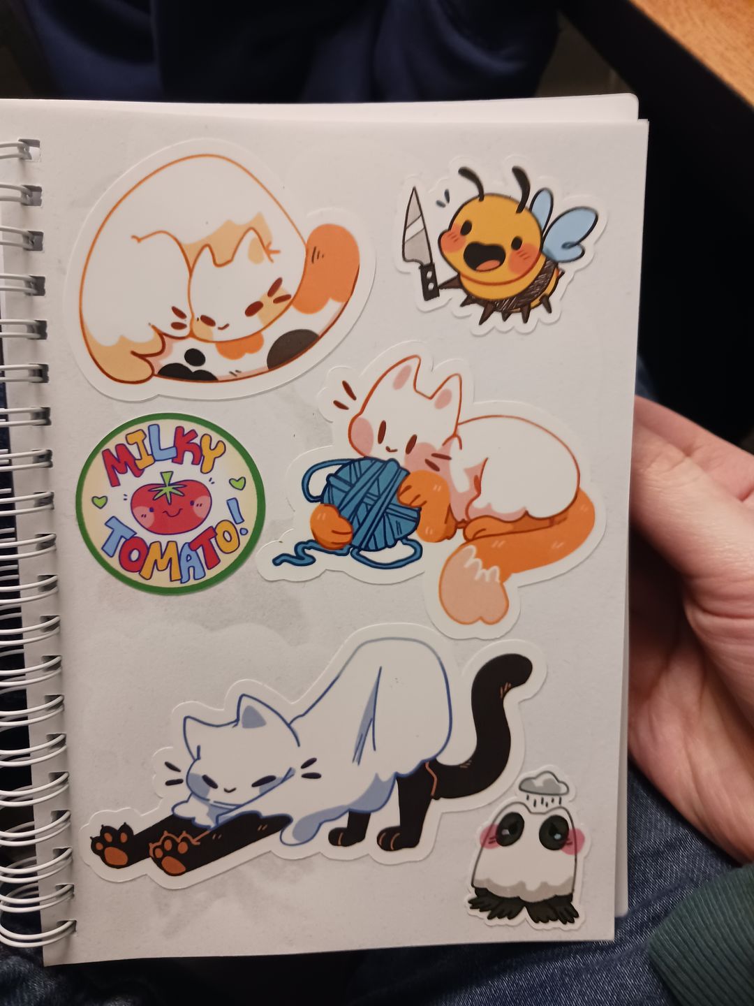 Customer photo review of Cute Ghost Cat Stickers!