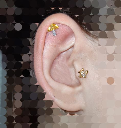 Customer photo review of Turtle Top Cartilage/Tragus Ring