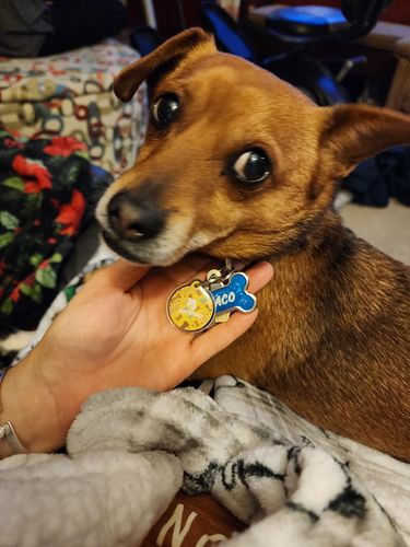 Customer photo review of Biscuits