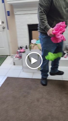 Customer video review of Create A Custom Animal Pillow