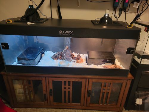 Customer photo review of 60"x24"x24" / 5'x2'x2' Premium PVC Reptile Enclosure