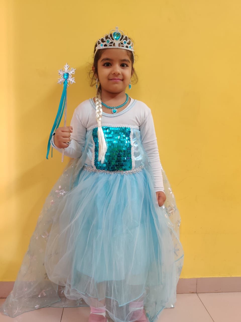 Customer photo review of Princess Elsa Princess costume with 8 pack accessories