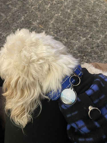 Customer photo review of Explorer