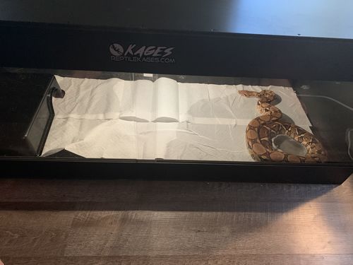 Customer photo review of 60"x24"x24" / 5'x2'x2' Premium PVC Reptile Enclosure