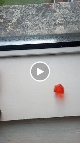 Customer video review of Mystery DnD Dice Set Mystery Box