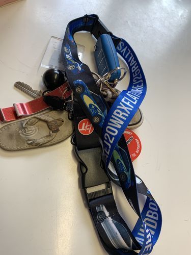 Customer photo review of Subaru WRX STI Rally Lanyard