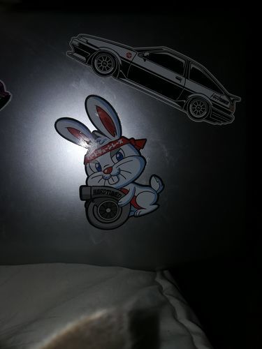Customer photo review of Easter Bunny Turbo Sticker