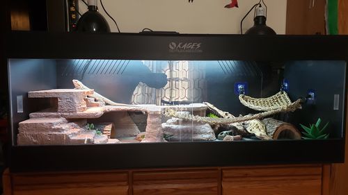 Customer photo review of 60"x24"x24" / 5'x2'x2' Premium PVC Reptile Enclosure