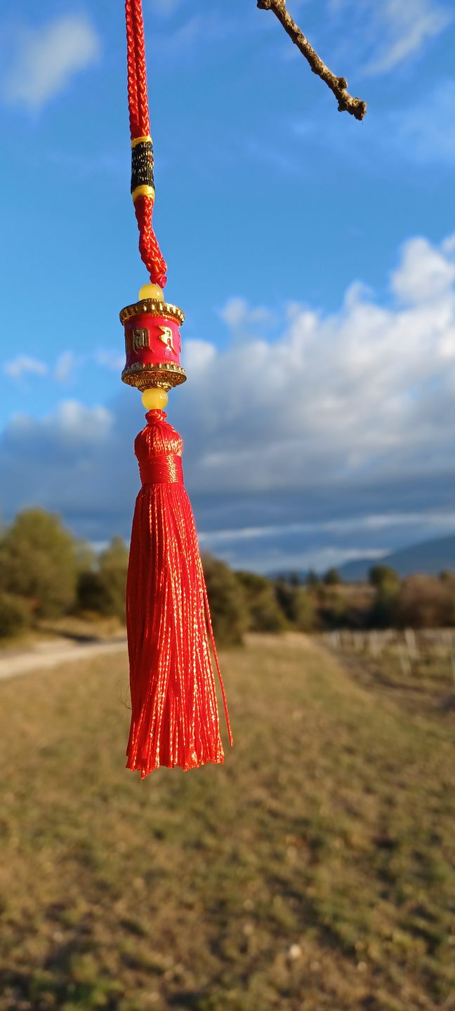 Customer photo review of Amulette Moulin à Prières